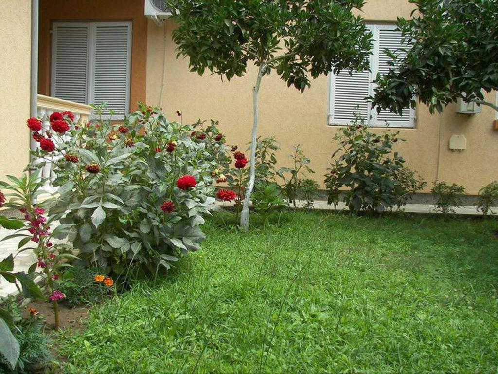 Apartments Dalila Ulcinj Cameră foto